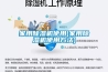 家用除濕機使用(家用除濕機使用方法)