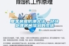 夏季房屋防潮大法，輕快處理房間濕潤的攪擾