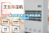 圍觀(guān)除濕機空氣凈化器選購技巧