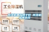 除濕機哪個(gè)牌子好 除濕機品牌選擇