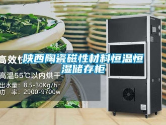 知識(shí)百科陜西陶瓷磁性材料恒溫恒濕儲(chǔ)存柜