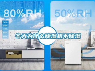 企業(yè)新聞冬天為什么除濕機(jī)不除濕