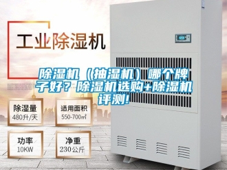 企業(yè)新聞除濕機(jī)（抽濕機(jī)）哪個(gè)牌子好？除濕機(jī)選購(gòu)+除濕機(jī)評(píng)測(cè)!