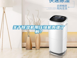 企業(yè)新聞關(guān)于除濕機(jī)用壓縮機(jī)有誰了解？