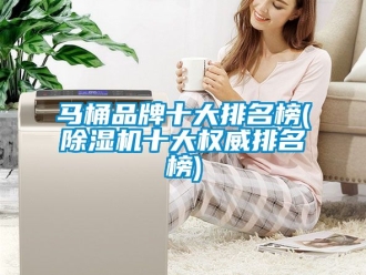 企業(yè)新聞馬桶品牌十大排名榜(除濕機(jī)十大權(quán)威排名榜)