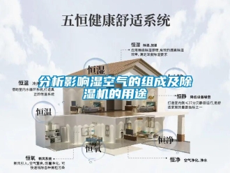 企業(yè)新聞分析影響濕空氣的組成及除濕機(jī)的用途