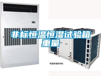 知識(shí)百科非標(biāo)恒溫恒濕試驗(yàn)箱重量