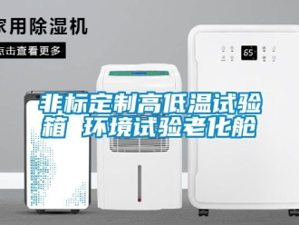常見問題非標定制高低溫試驗箱 環(huán)境試驗老化艙