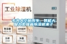 專為大空間而生，智能大吸力低噪音除濕機(jī)來了