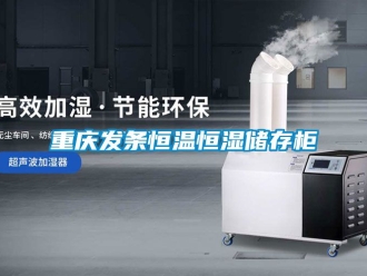 知識百科重慶發(fā)條恒溫恒濕儲存柜