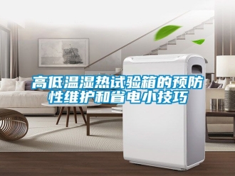 常見問題高低溫濕熱試驗箱的預(yù)防性維護(hù)和省電小技巧