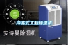 冷凍式工業(yè)除濕機