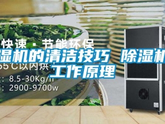 企業(yè)新聞除濕機的清潔技巧 除濕機的工作原理