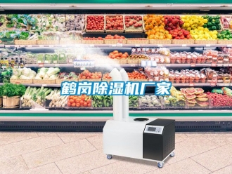 企業(yè)新聞鶴崗除濕機廠家