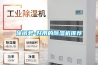 休閑君-好用的除濕機推薦