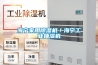 海寧家用除濕機(jī)／海寧工業(yè)抽濕機(jī)