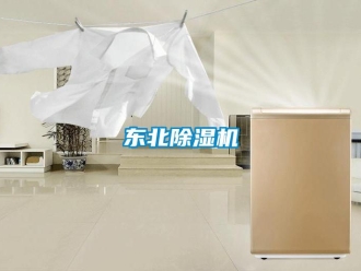 企業(yè)新聞東北除濕機