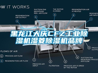 常見問題黑龍江大慶CFZ工業(yè)除濕機(jī)濕菱除濕機(jī)品牌