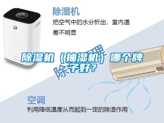 企業(yè)新聞除濕機(jī)（抽濕機(jī)）哪個(gè)牌子好？