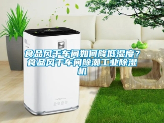 常見問(wèn)題食品風(fēng)干車間如何降低濕度？食品風(fēng)干車間除潮工業(yè)除濕機(jī)