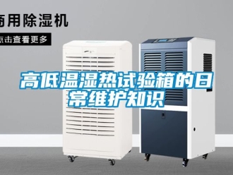 常見問題高低溫濕熱試驗箱的日常維護(hù)知識