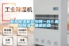 新風(fēng)除濕機多少錢(qián)一臺？新風(fēng)除濕一體機價(jià)格