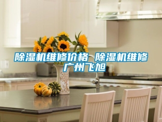 企業(yè)新聞除濕機(jī)維修價(jià)格 除濕機(jī)維修 廣州飛旭