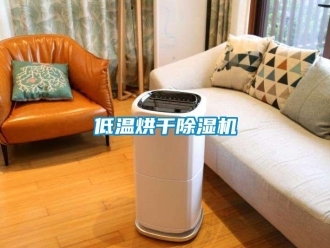 企業(yè)新聞低溫烘干除濕機(jī)