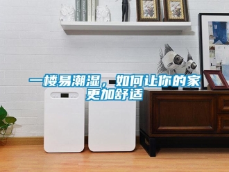 常見問題一樓易潮濕，如何讓你的家更加舒適