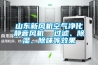山東新風(fēng)機空氣凈化靜音風(fēng)機  過(guò)濾、除濕、除味等效果