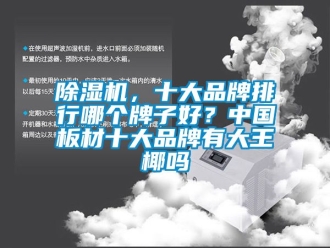 企業(yè)新聞除濕機，十大品牌排行哪個牌子好？中國板材十大品牌有大王椰嗎
