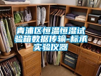 知識(shí)百科青浦區(qū)恒溫恒濕試驗(yàn)箱數(shù)據(jù)傳輸-標(biāo)承實(shí)驗(yàn)儀器