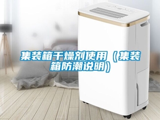 常見問題集裝箱干燥劑使用（集裝箱防潮說明）