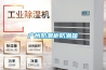 廣州防潮柜防潮箱