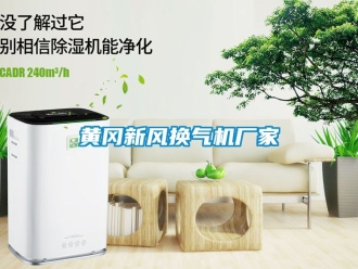 企業(yè)新聞黃岡新風(fēng)換氣機廠家