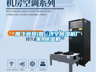 企業(yè)新聞雁飛商貿(mào)(圖)_濟(jì)寧除濕機(jī)廠家_除濕機(jī)