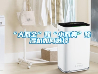 常見問題“大而全”和“小而美”除濕機(jī)如何選擇
