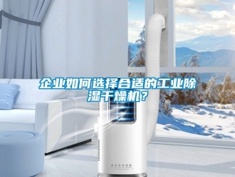 新聞資訊企業(yè)如何選擇合適的工業(yè)除濕干燥機(jī)？