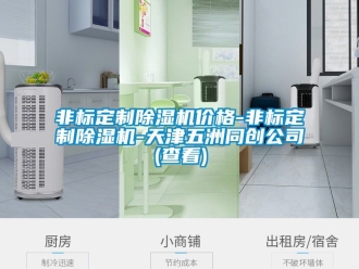 企業(yè)新聞非標(biāo)定制除濕機(jī)價(jià)格-非標(biāo)定制除濕機(jī)-天津五洲同創(chuàng)公司(查看)
