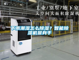 常見問題下雨潮濕怎么除濕？智能除濕機(jī)顯身手