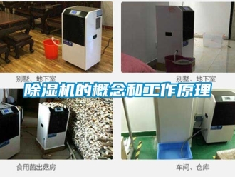 企業(yè)新聞除濕機的概念和工作原理