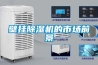 壁掛除濕機的市場(chǎng)前景