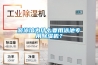 游泳館為什么要用泳池專(zhuān)用除濕機？