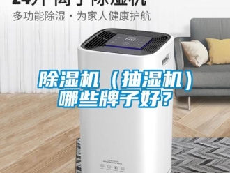 企業(yè)新聞除濕機(jī)（抽濕機(jī)）哪些牌子好？