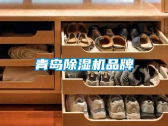 企業(yè)新聞青島除濕機(jī)品牌