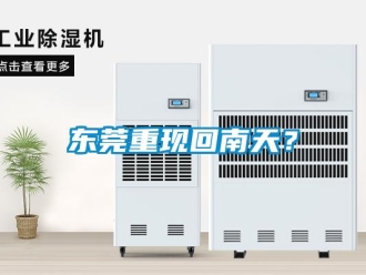 企業(yè)新聞東莞重現回南天？