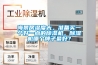 海景房濕度大，準備買(mǎi)一個(gè)好一點(diǎn)的除濕機，除濕機哪個(gè)牌子最好？