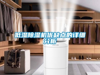 企業(yè)新聞低濕除濕機(jī)優(yōu)缺點(diǎn)的詳細(xì)分析