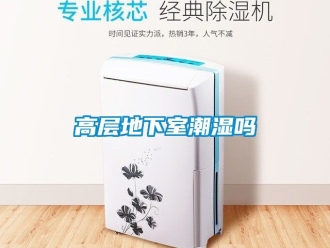 企業(yè)新聞高層地下室潮濕嗎