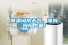 潮濕悶熱天氣，謹防狗狗中暑！
